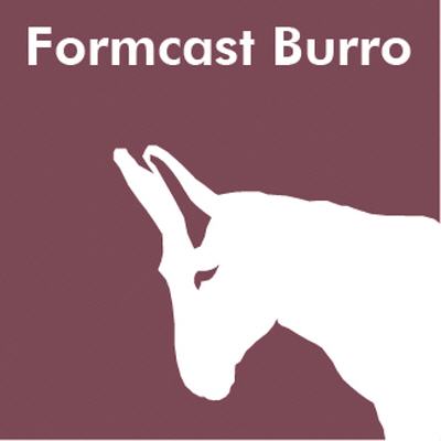 FormCast Burro